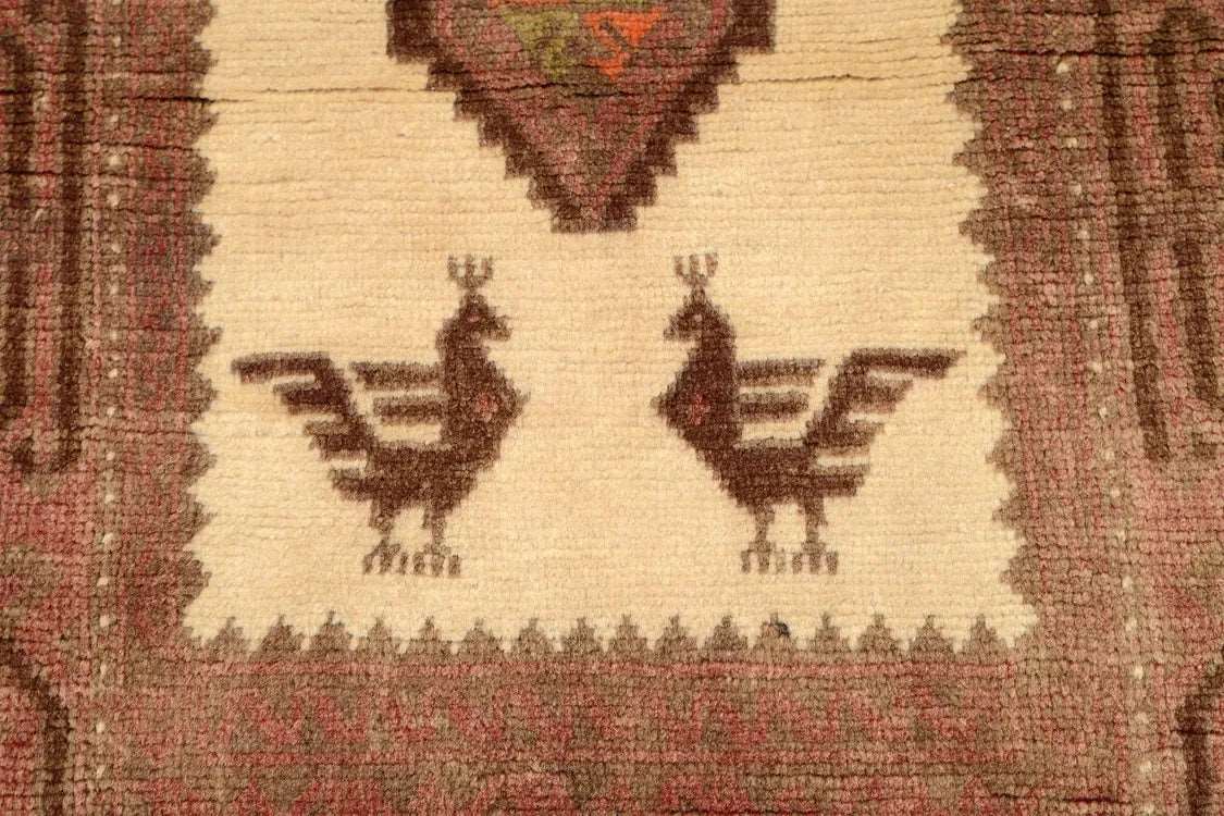 Baluch Brown