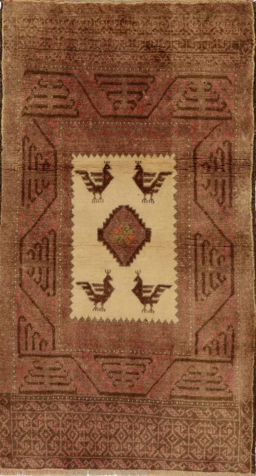 Baluch Brown