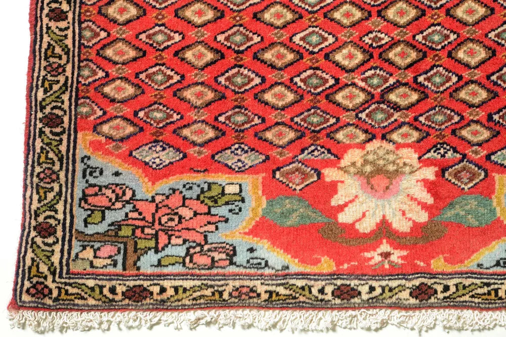 Sanneh Red