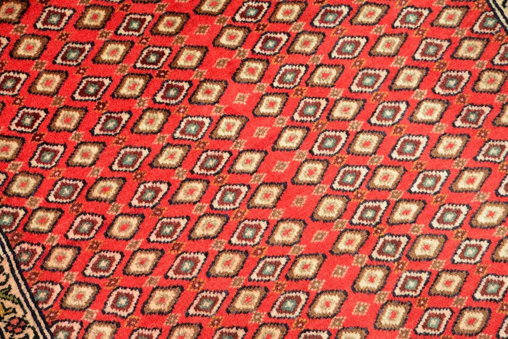 Sanneh Red
