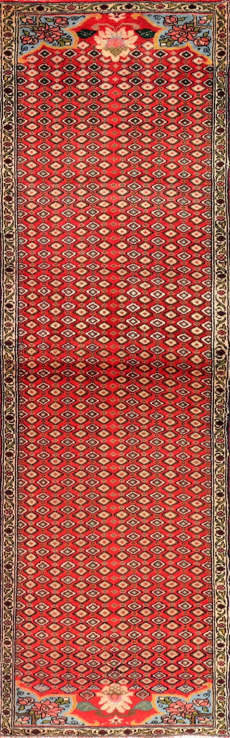 Sanneh Red