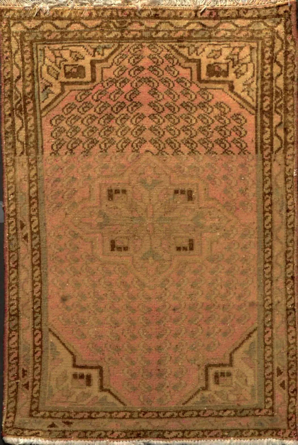 Hamadan Pink