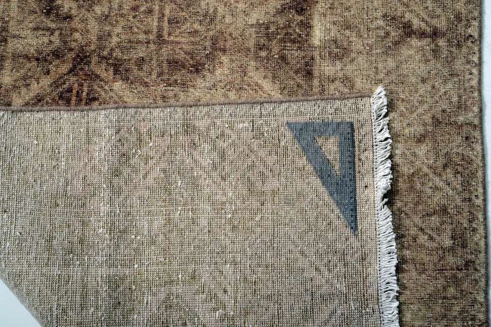 Baluch Brown