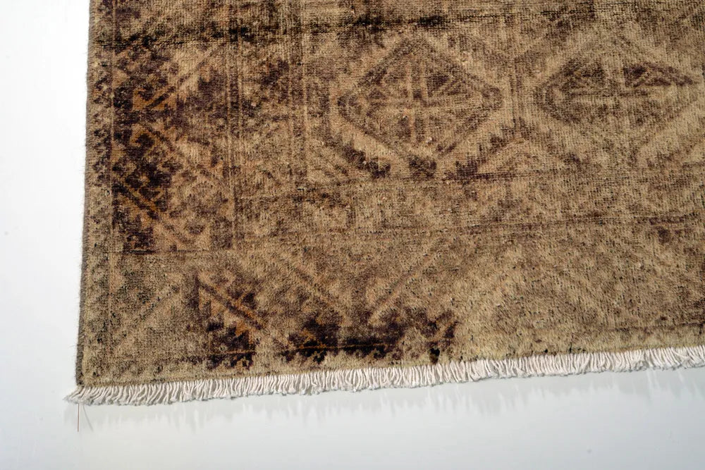 Baluch Brown