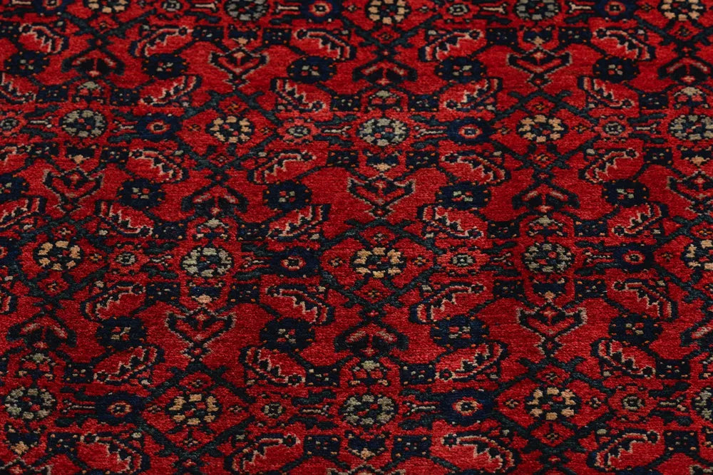 Hoseinabad Red