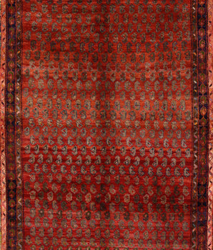 Luri 49323