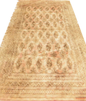 Turkman 62239