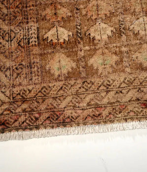 Baluch Brown