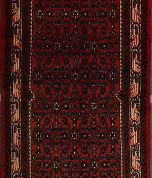 Ardebil Red