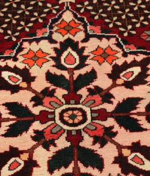 Bakhtiar Red