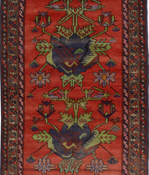 Baluch 64753